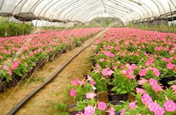 昆明节水灌溉设备厂家