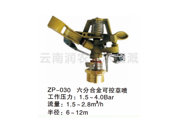 六分合金可控草喷