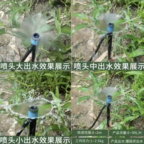 涌泉喷头