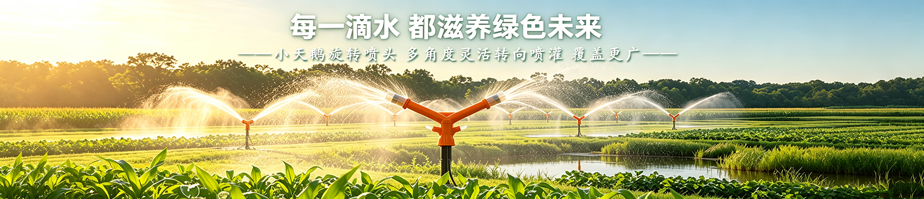 小天鹅喷头